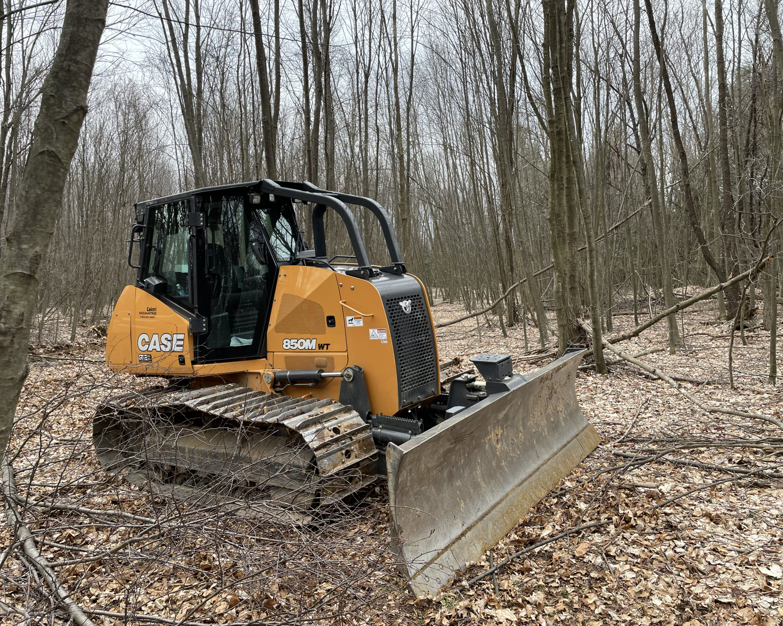 Land Clearing