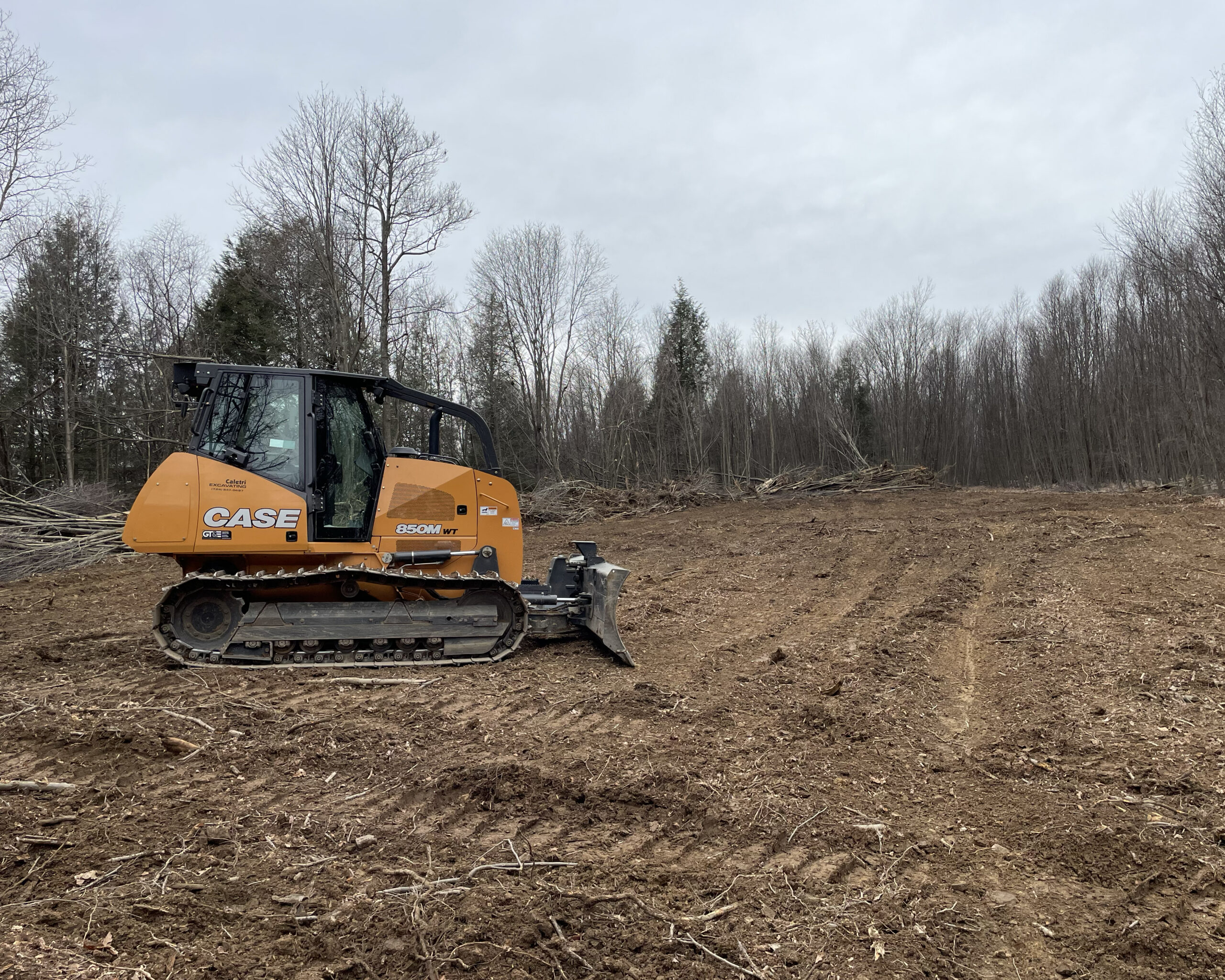 Site Clearing